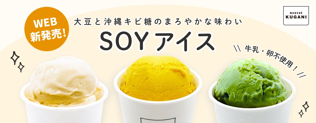 soyice-slide.jpg